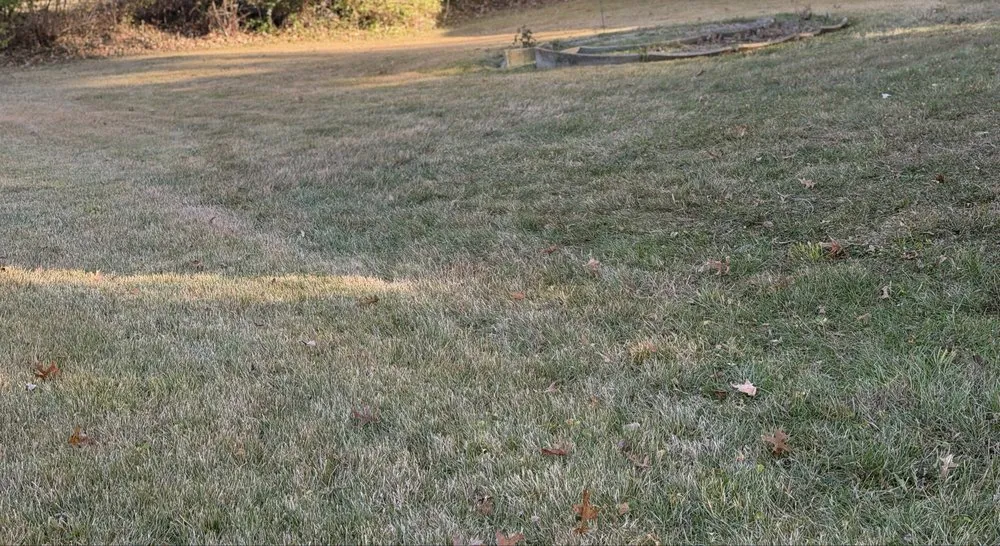 Custom yard maintenance experts serving Saint Charles, MO - Royalty Hauling & Lite Landscaping