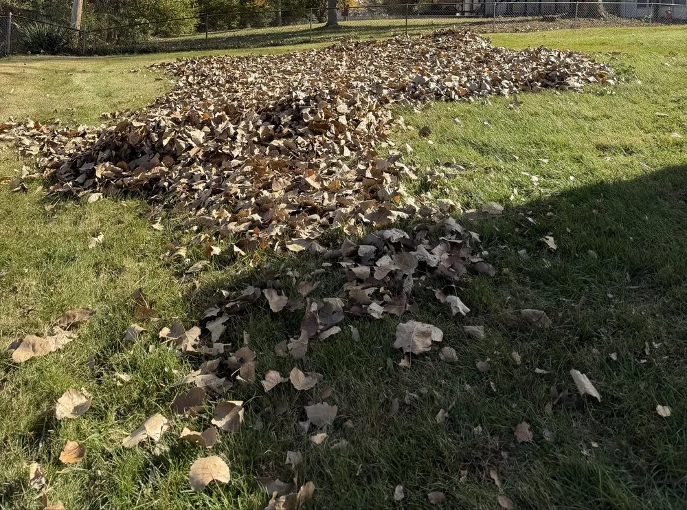 Reliable residential landscaping for homes in Saint Charles, MO by Royalty Hauling & Lite Landscaping