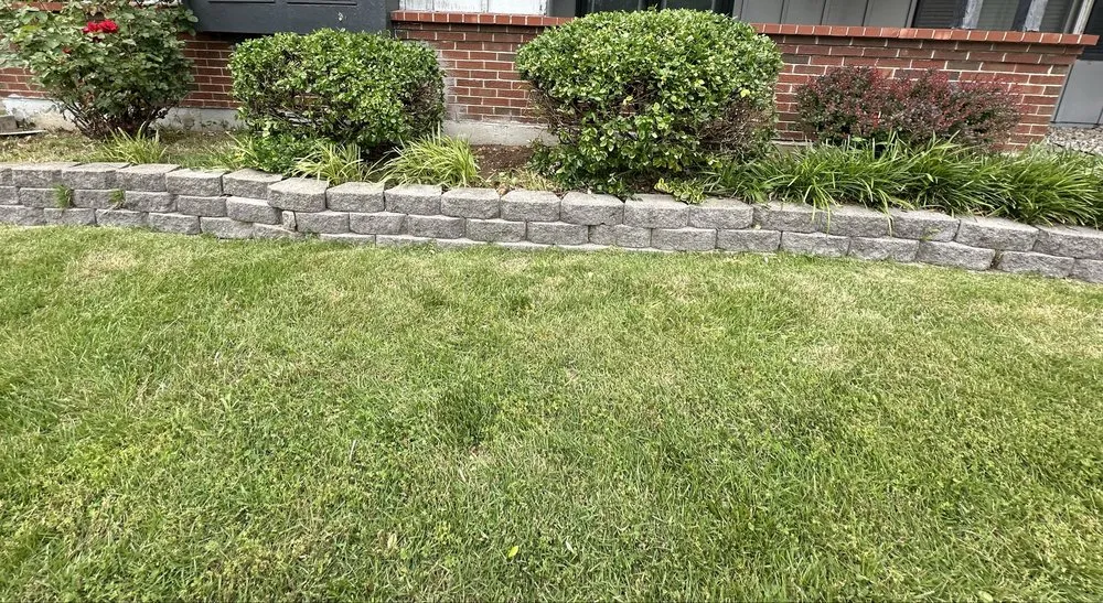 Reliable yard maintenance in Saint Charles, MO by Royalty Hauling & Lite Landscaping