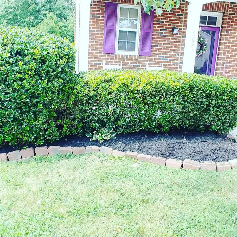 Affordable landscape installation in Raleigh, NC by Royalty Landscape