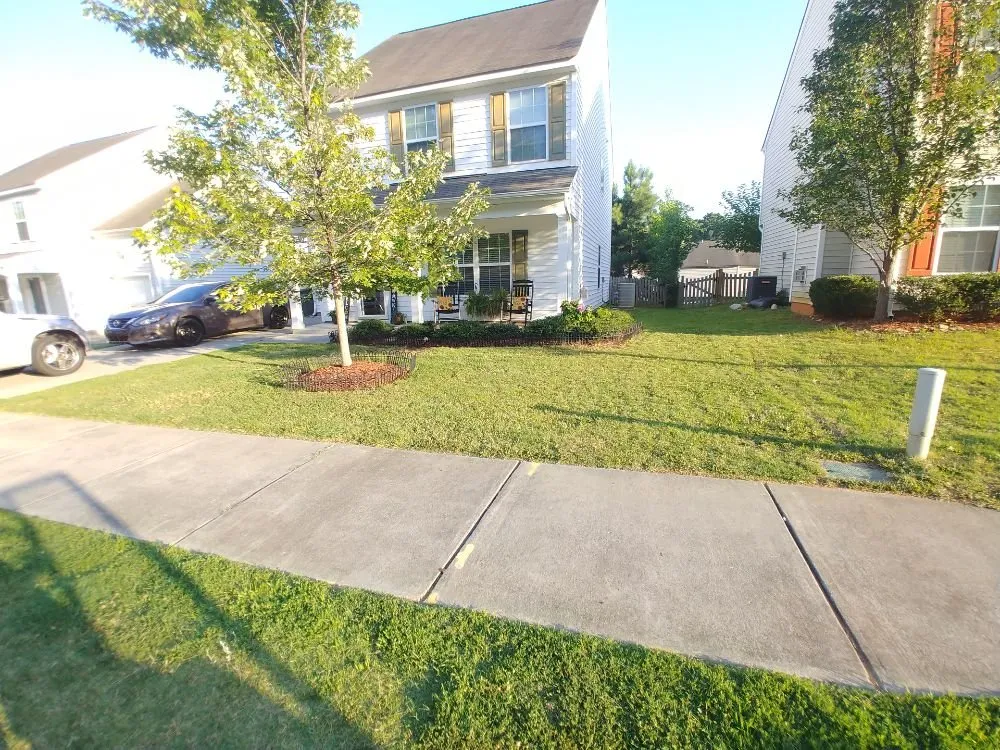 Local yard cleanup service in Raleigh, NC by Royalty Landscape