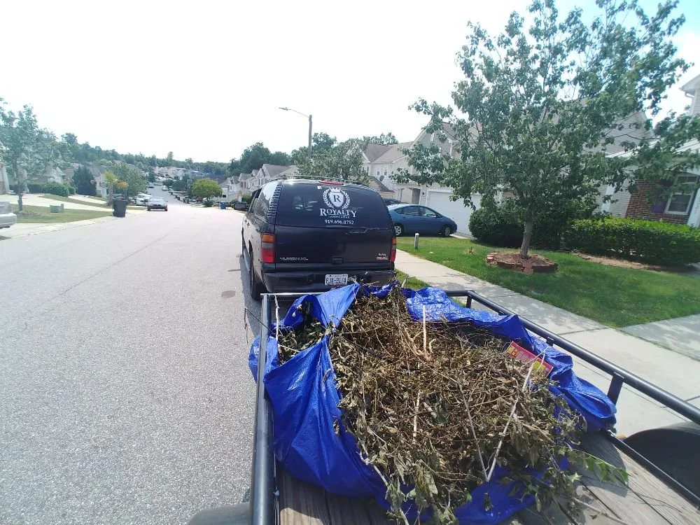 Local landscape design in Raleigh, NC - Royalty Landscape