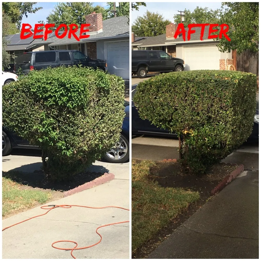 Professional lawn care service in Stockton, CA by Royalty Landscaping & Residential Services