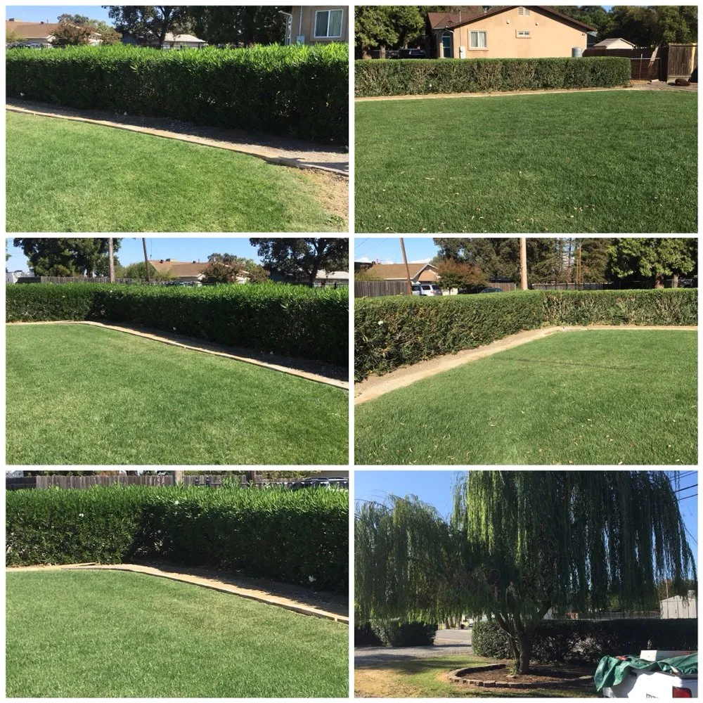 Professional yard maintenance for homes across Stockton, CA - Royalty Landscaping & Residential Services