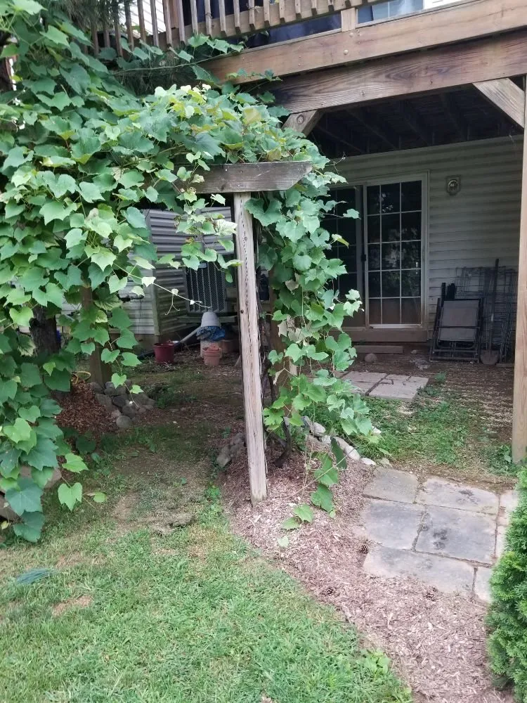 Affordable yard maintenance for beautiful yards across Allentown, PA - Royalty Landscaping