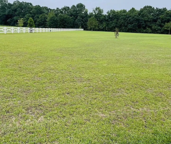 Trusted yard cleanup service in Beaufort, SC - Royalty Landscaping