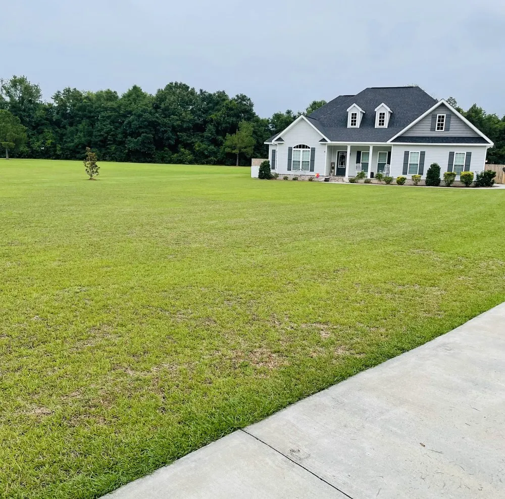 Local yard cleanup service experts serving Beaufort, SC - Royalty Landscaping