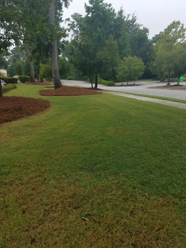 Local residential landscaping near you across Beaufort, SC - Royalty Landscaping