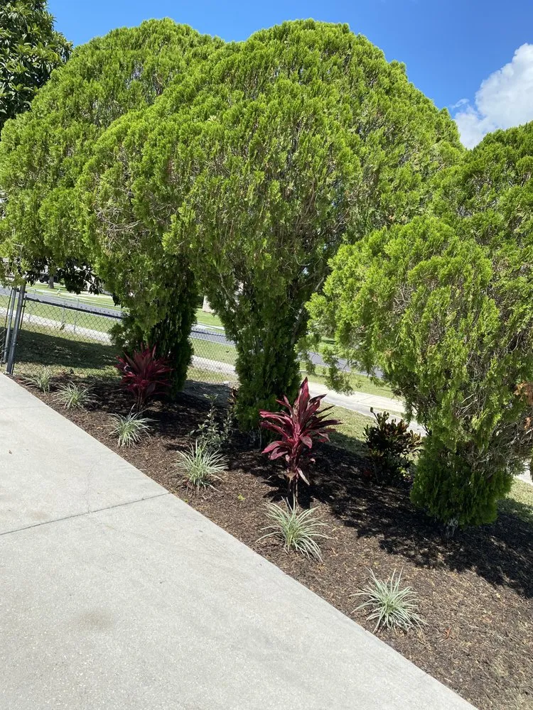 Professional landscaping services for year-round maintenance across PT CHARLOTTE, FL - Royalty Landscaping