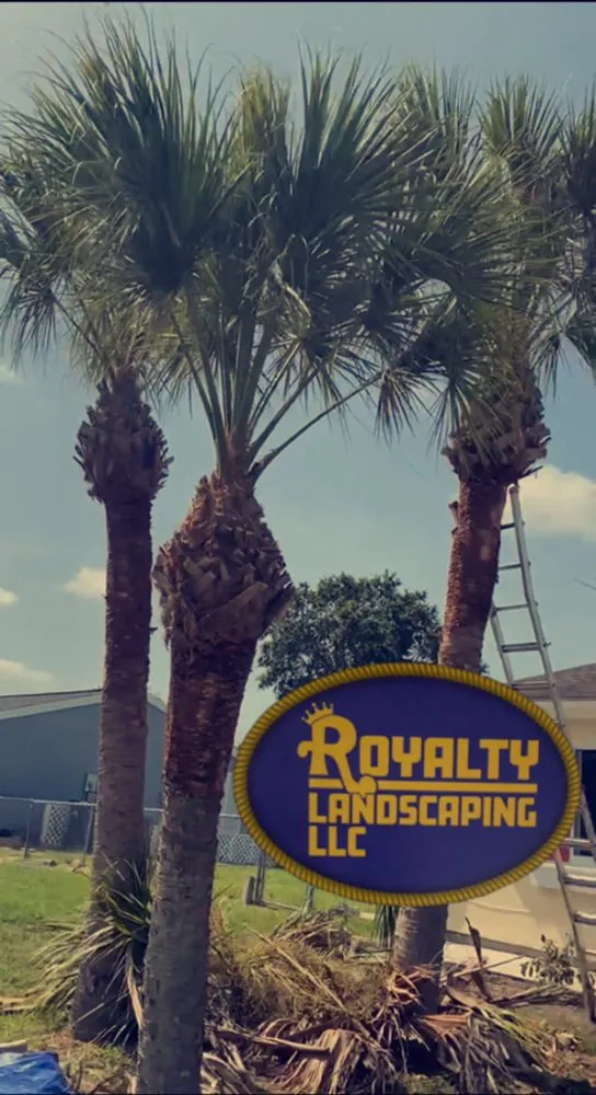 Local residential landscaping in PT CHARLOTTE, FL by Royalty Landscaping