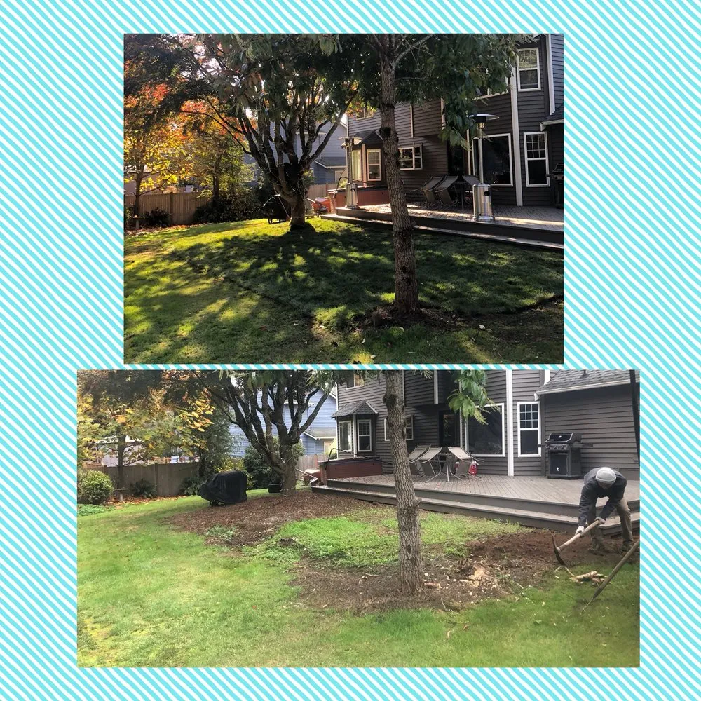 Professional landscape installation in Everett, WA by Royalty Landscaping Services