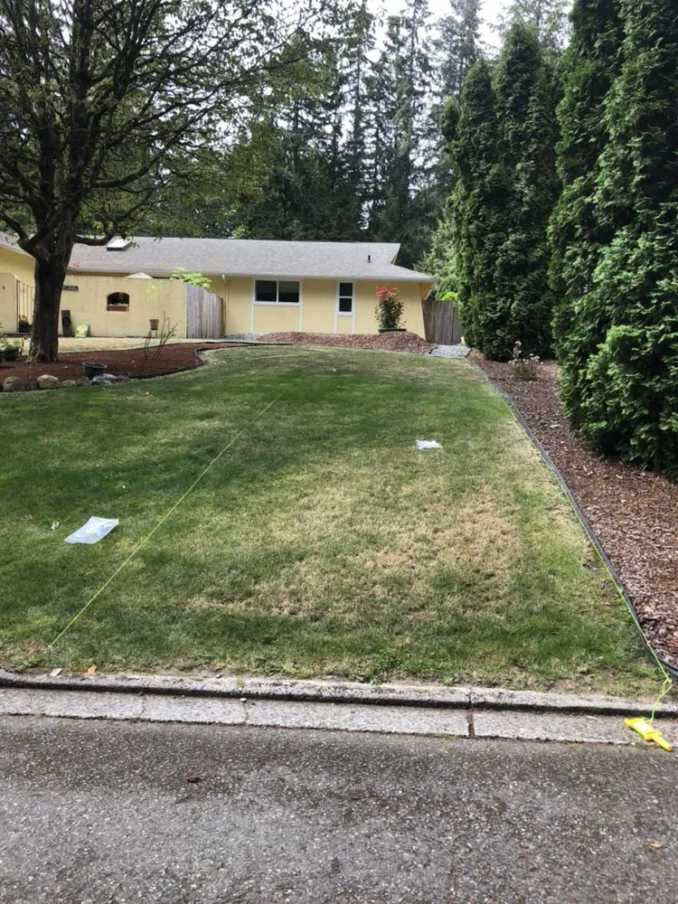Local residential landscaping experts serving Everett, WA - Royalty Landscaping Services
