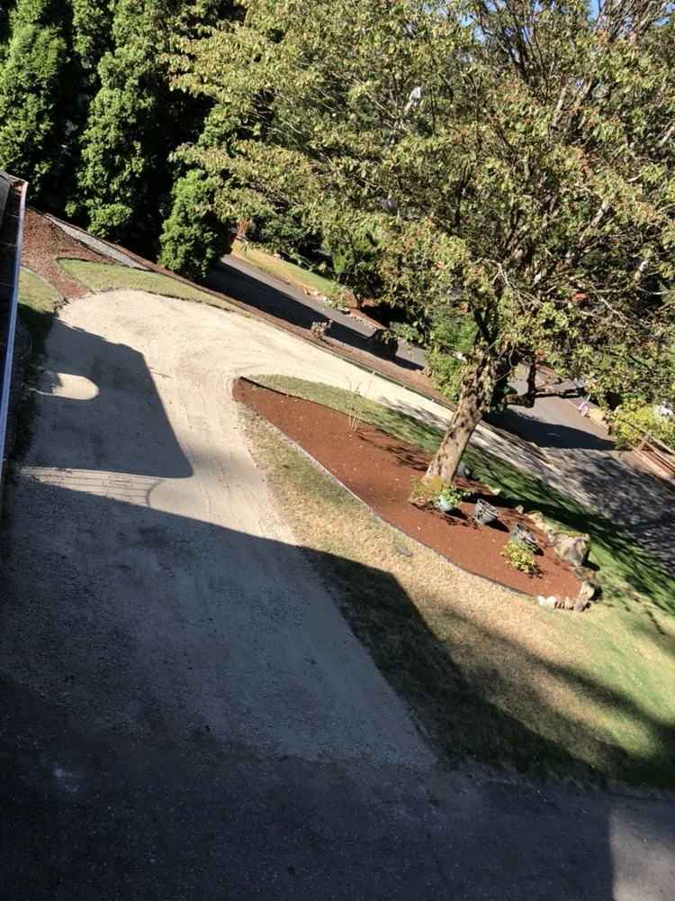 Trusted yard cleanup service experts serving Everett, WA - Royalty Landscaping Services