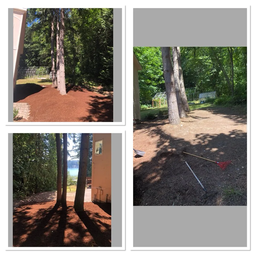 Top-rated landscape design in Everett, WA by Royalty Landscaping Services