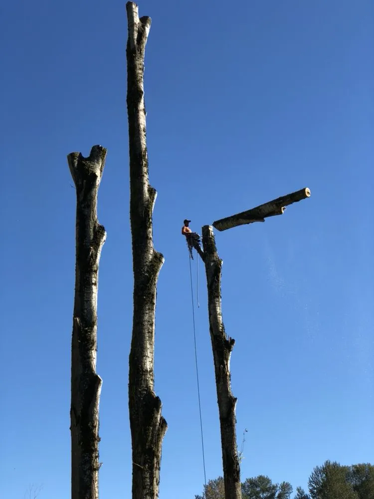 Expert landscape installation in Everett, WA by Royalty Landscaping Services