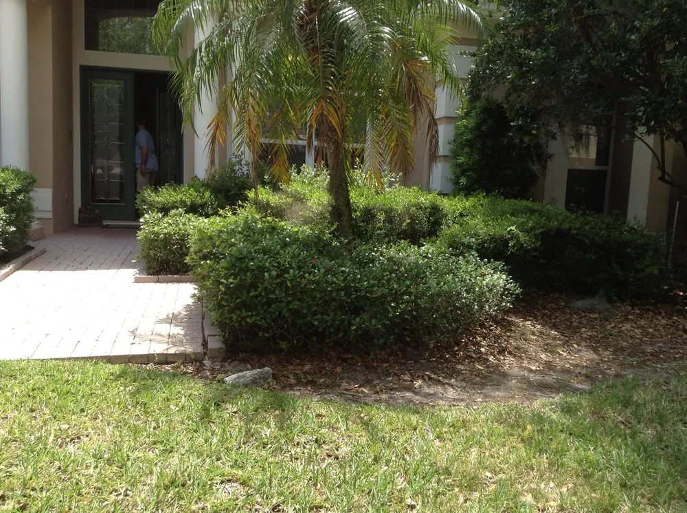 Expert lawn mowing service in Wesley Chapel, FL - Royalty Lawn & Landscaping Inc