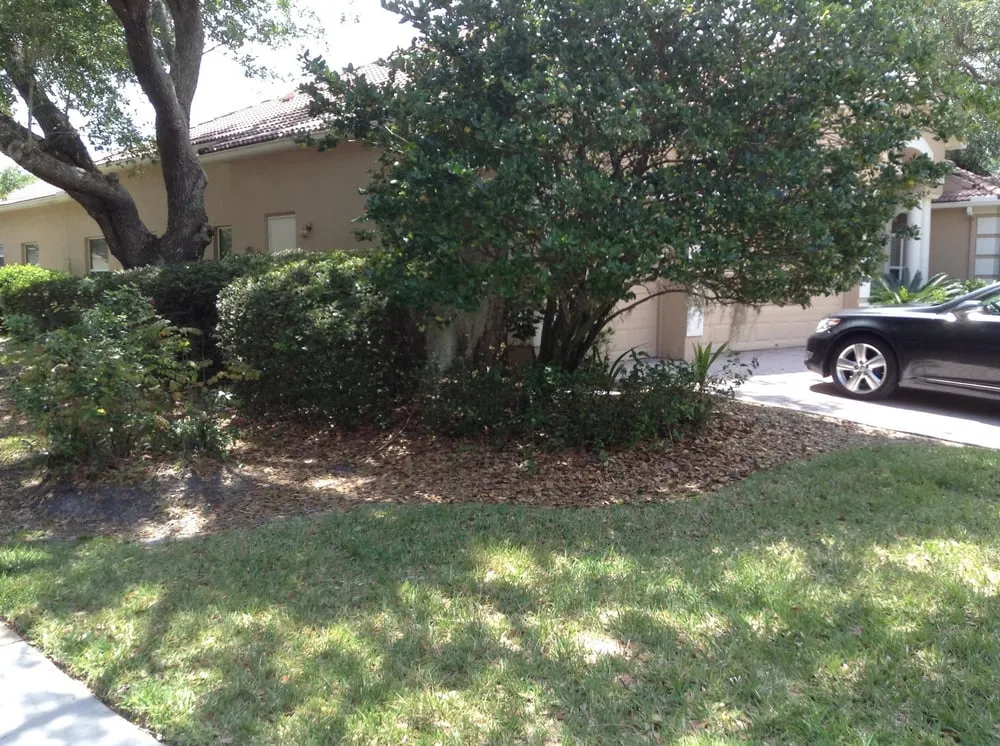 Local lawn care service for residential properties across Wesley Chapel, FL - Royalty Lawn & Landscaping Inc