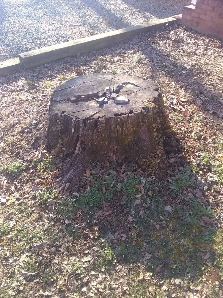 Trusted lawn care service near you across Culpeper, VA - Royalty Lawn Care Tree Service