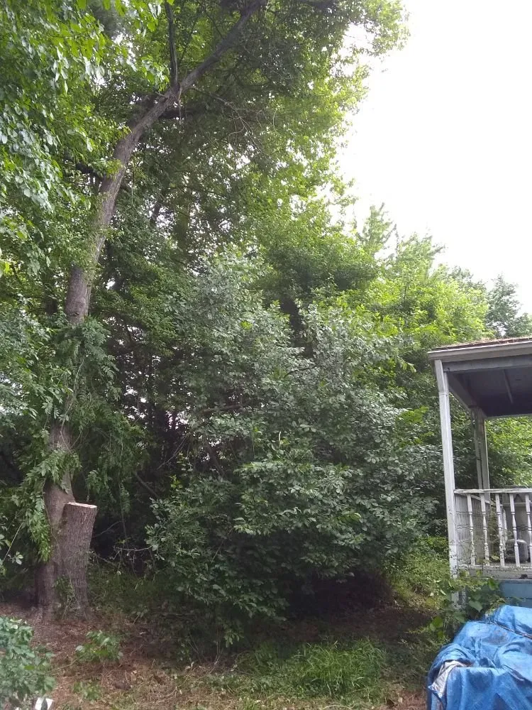 Affordable landscape design for residential properties in Culpeper, VA by Royalty Lawn Care Tree Service