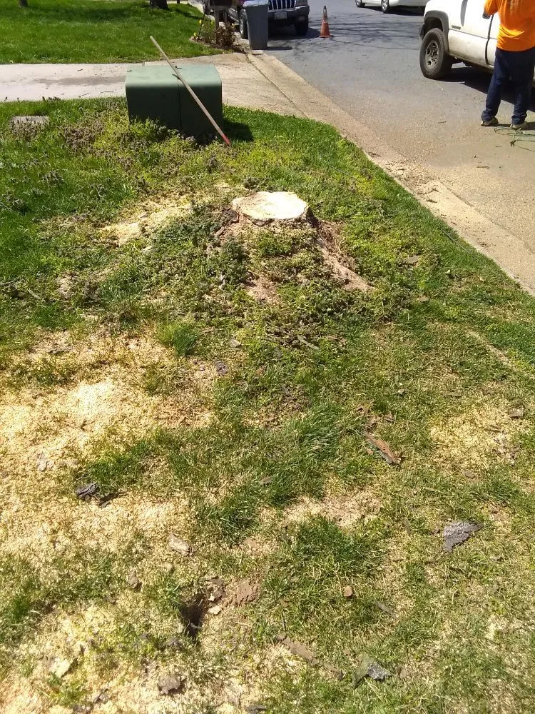 Trusted garden landscaping for year-round maintenance in Culpeper, VA by Royalty Lawn Care Tree Service