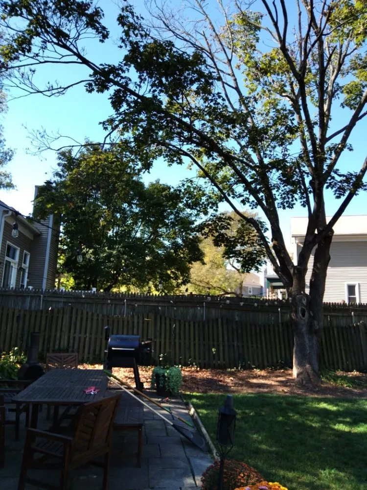 Expert lawn mowing service experts serving Culpeper, VA - Royalty Lawn Care Tree Service