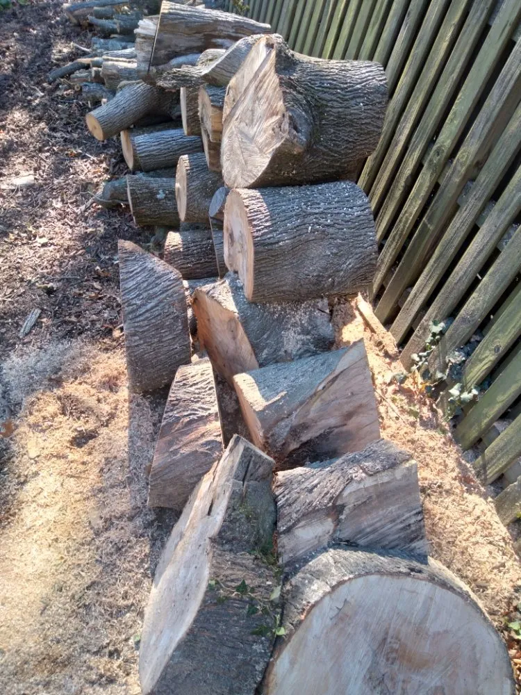 Expert yard cleanup service in Culpeper, VA by Royalty Lawn Care Tree Service