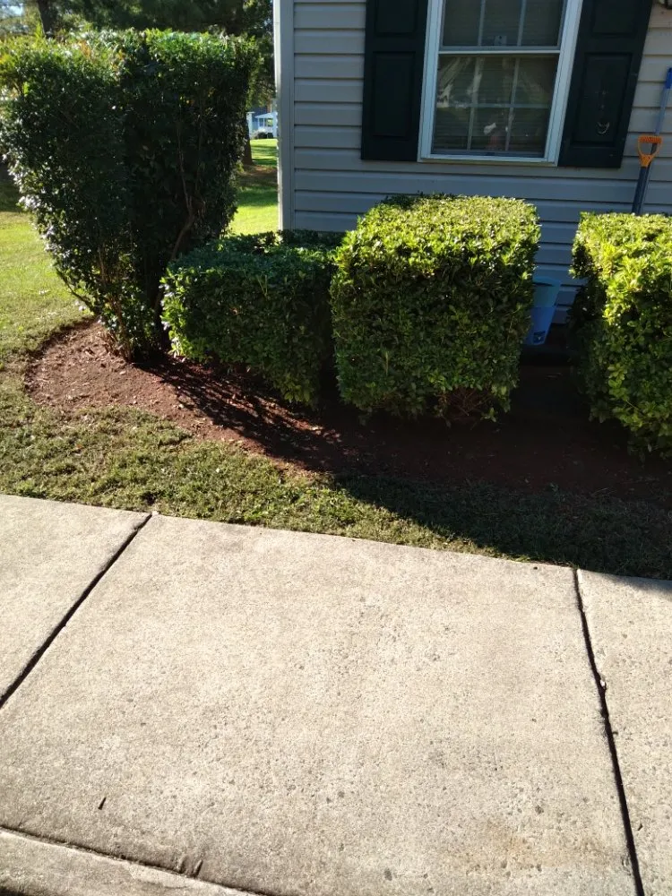 Expert lawn mowing service experts serving Culpeper, VA - Royalty Lawn Care Tree Service