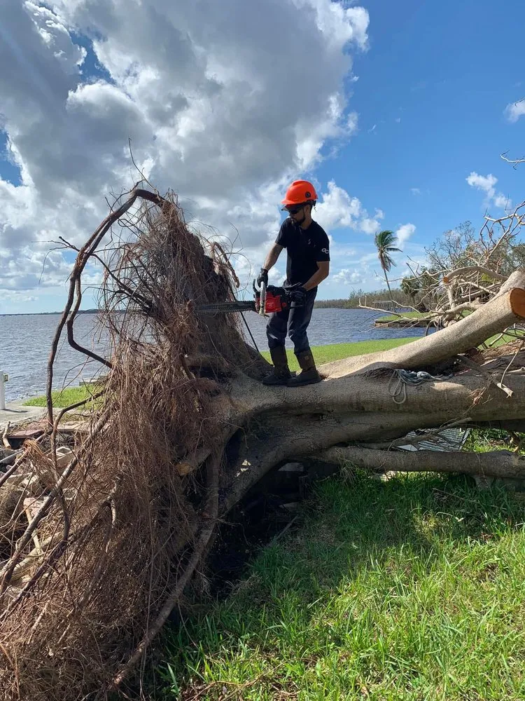 Local residential landscaping in Poteet, TX by Royalty Lawn Services