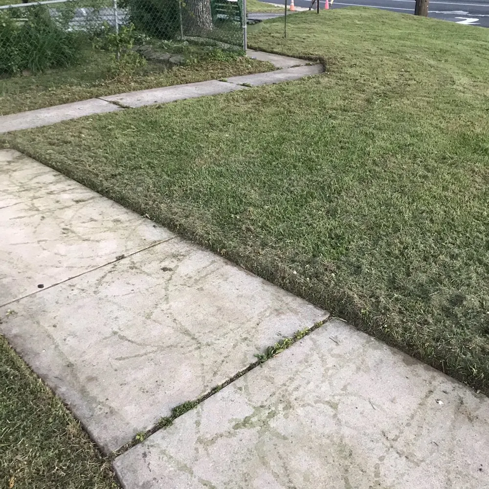 Affordable yard maintenance experts serving Nottingham, MD - Royalty Lawncare