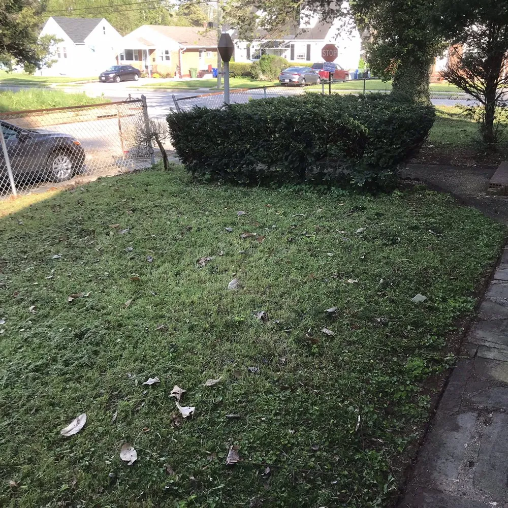 Expert landscape installation for year-round maintenance in Nottingham, MD by Royalty Lawncare