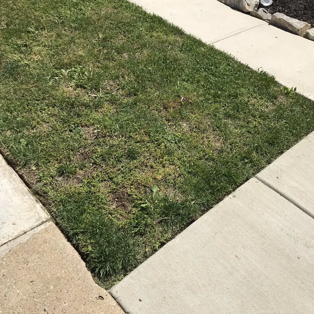 Trusted outdoor landscaping in Nottingham, MD - Royalty Lawncare