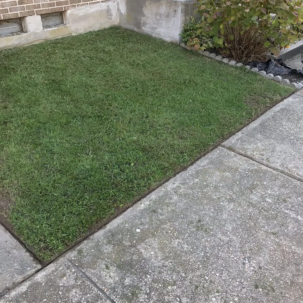 Top-rated landscaping services in Nottingham, MD - Royalty Lawncare