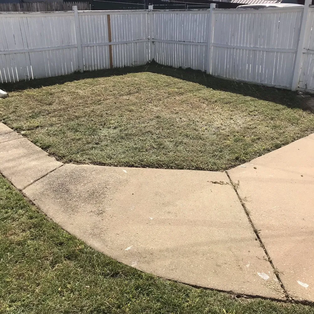 Top-rated yard cleanup service experts serving Nottingham, MD - Royalty Lawncare