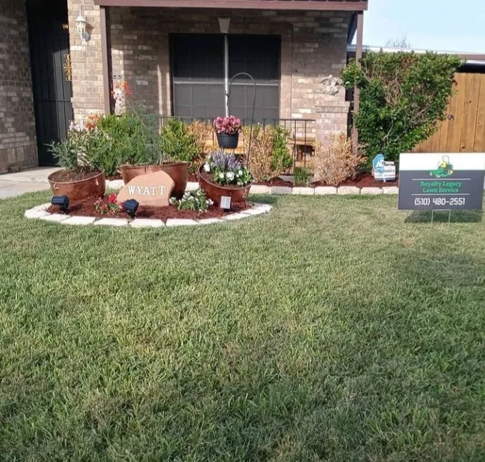 Top-rated landscape design for outdoor upgrades in Converse, TX by Royalty Legacy Lawn Service and Landscaping