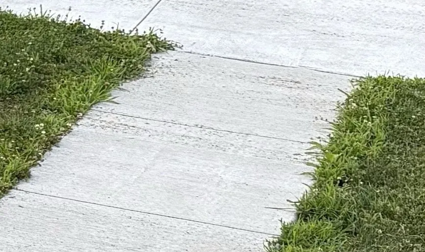 Professional landscape design in Byron, MI - Royalty Services