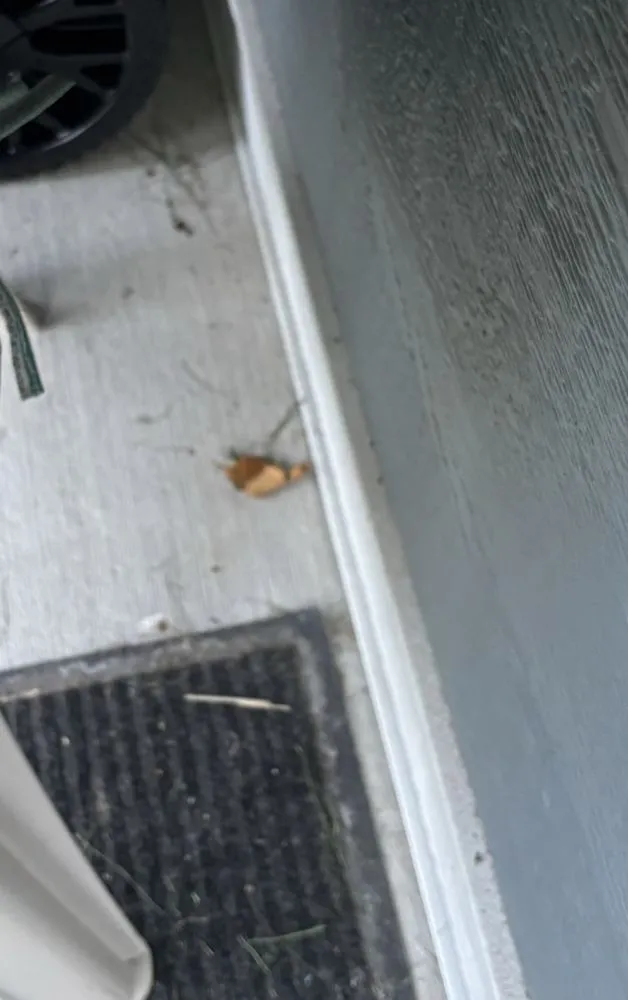 Reliable landscaping services in Byron, MI by Royalty Services