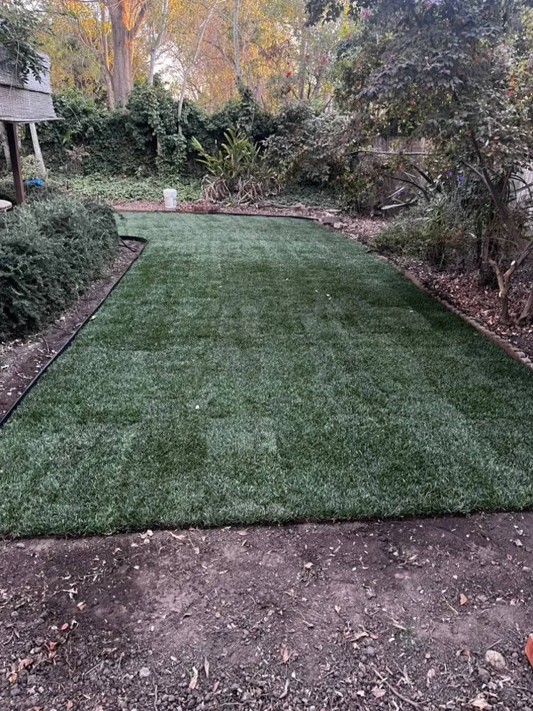 Professional garden landscaping for year-round maintenance in Buellton, CA by Royalty Tree Service