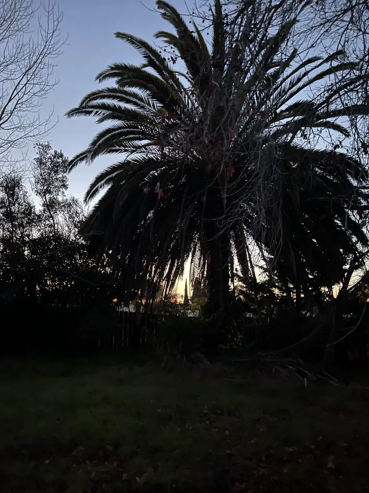 Reliable garden landscaping in Buellton, CA - Royalty Tree Service