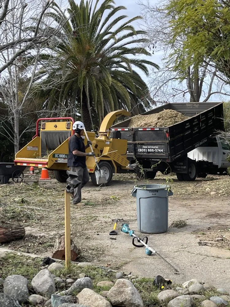 Reliable yard maintenance in Buellton, CA - Royalty Tree Service