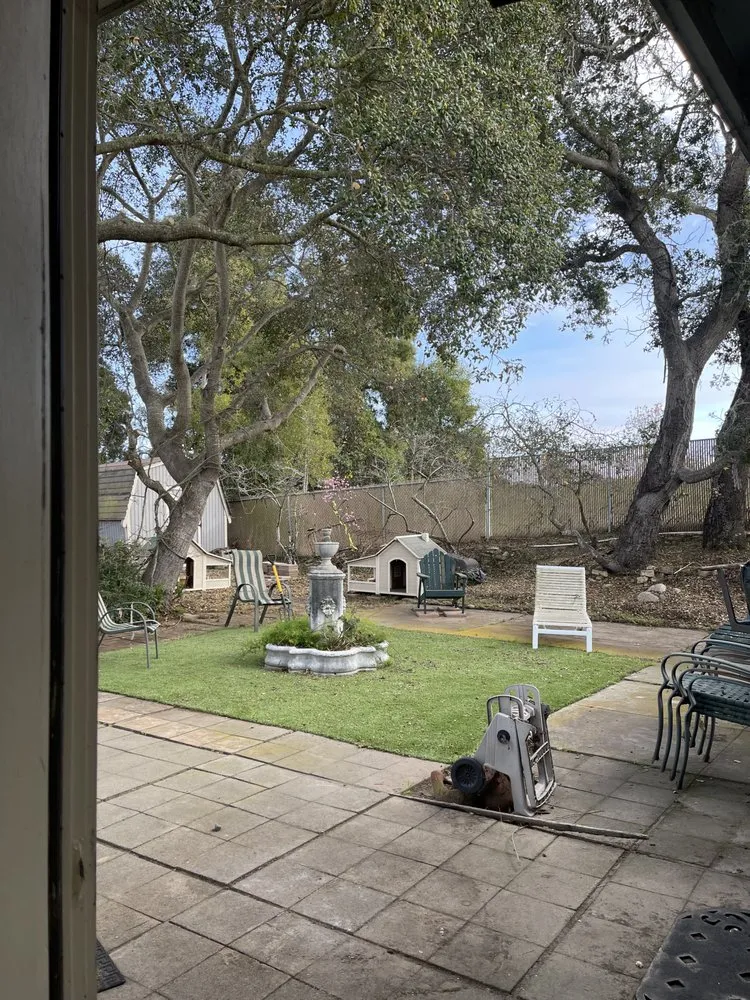 Professional yard maintenance in Buellton, CA - Royalty Tree Service