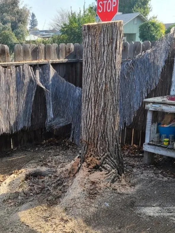 Affordable residential landscaping experts serving Fresno, CA - Royalty Trees and Landscaping