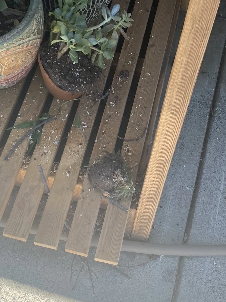 Reliable garden landscaping in Fresno, CA by Royalty Trees and Landscaping