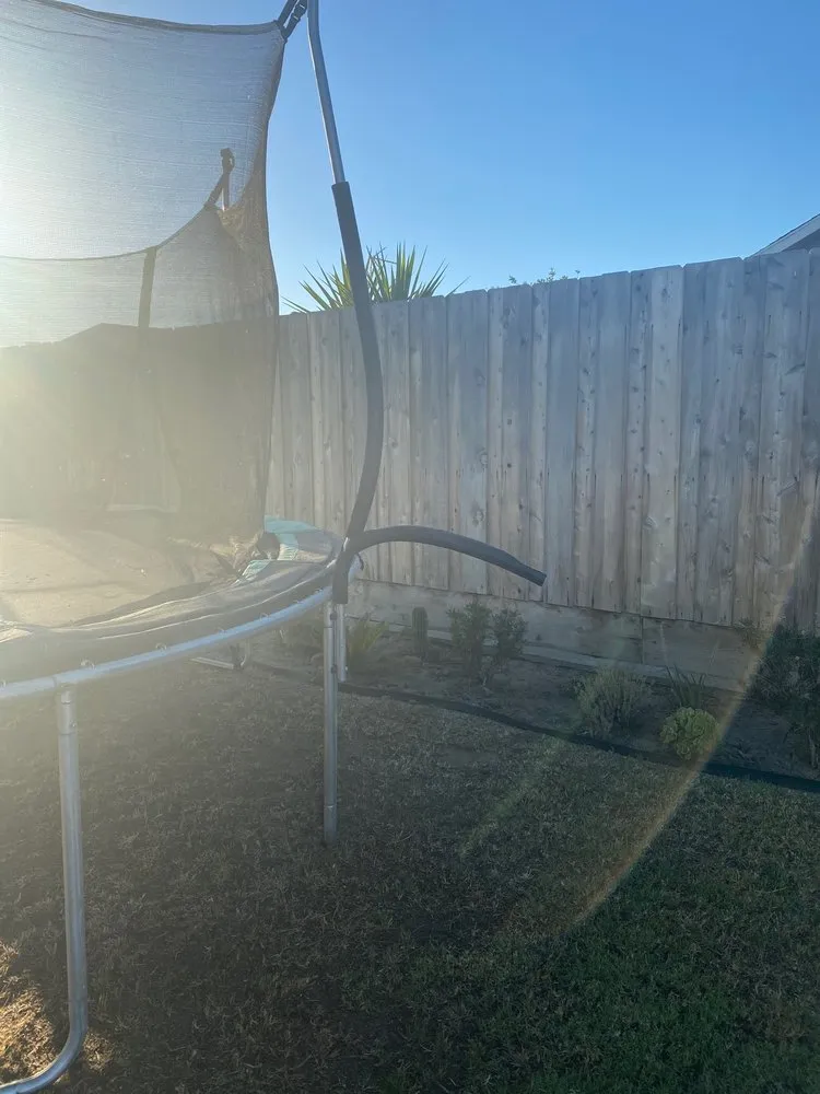 Professional outdoor landscaping in Fresno, CA by Royalty Trees and Landscaping