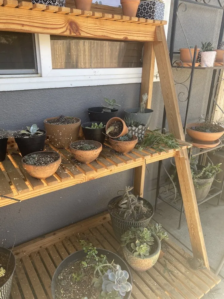 Trusted lawn mowing service near you in Fresno, CA by Royalty Trees and Landscaping