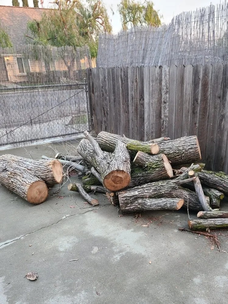 Top-rated landscape design experts serving Fresno, CA - Royalty Trees and Landscaping