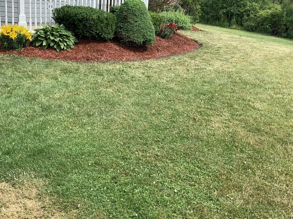 Local residential landscaping for residential properties in Buffalo, NY by Royalty’s Landscaping