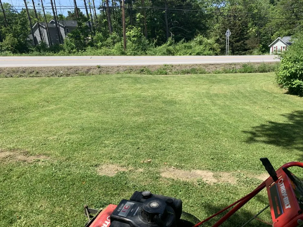 Affordable outdoor landscaping experts serving Buffalo, NY - Royalty’s Landscaping