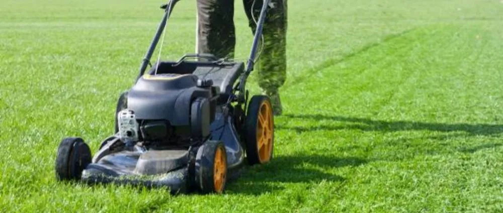 Trusted outdoor landscaping experts serving Pekin, IL - Royalty's Lawn Care