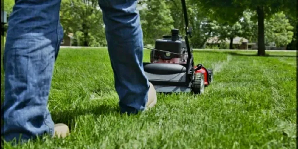 Custom yard maintenance for beautiful yards across Pekin, IL - Royalty's Lawn Care