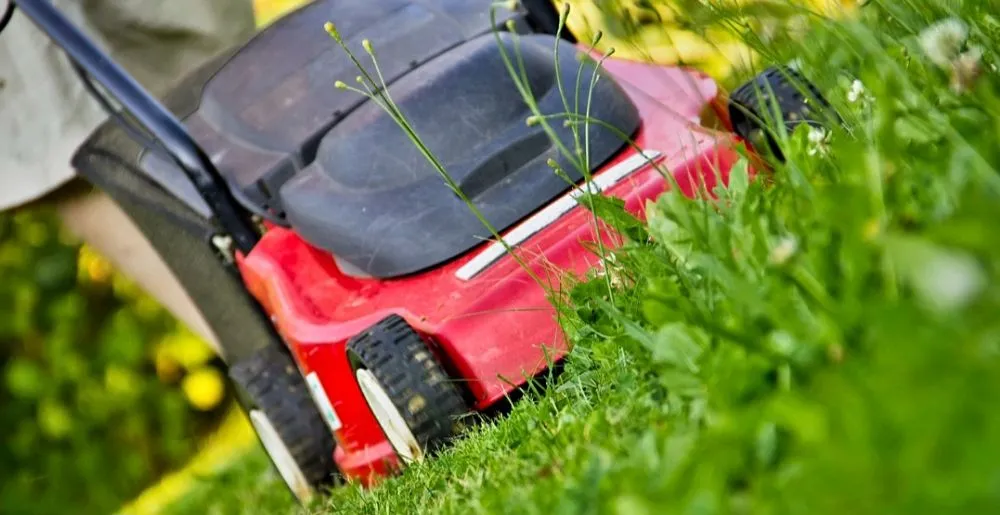 Reliable yard cleanup service near you across Pekin, IL - Royalty's Lawn Care